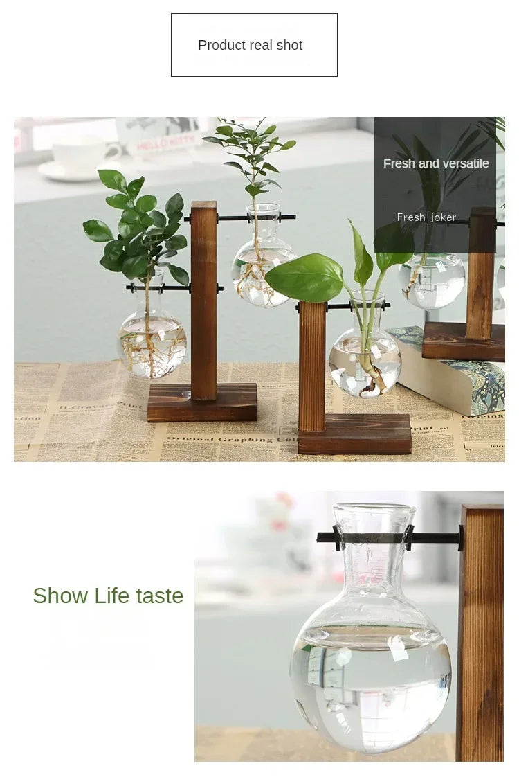 BotaniLuxe™ Glass Planter